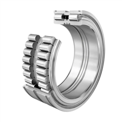 Sl 045044- D-PP zylindrischer Rollenlager